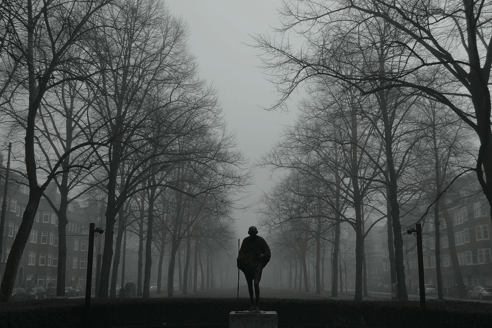 A solitary figure standing in a fog-covered avenue, symbolizing memory, ideology, and historical reflection in post-independence India.