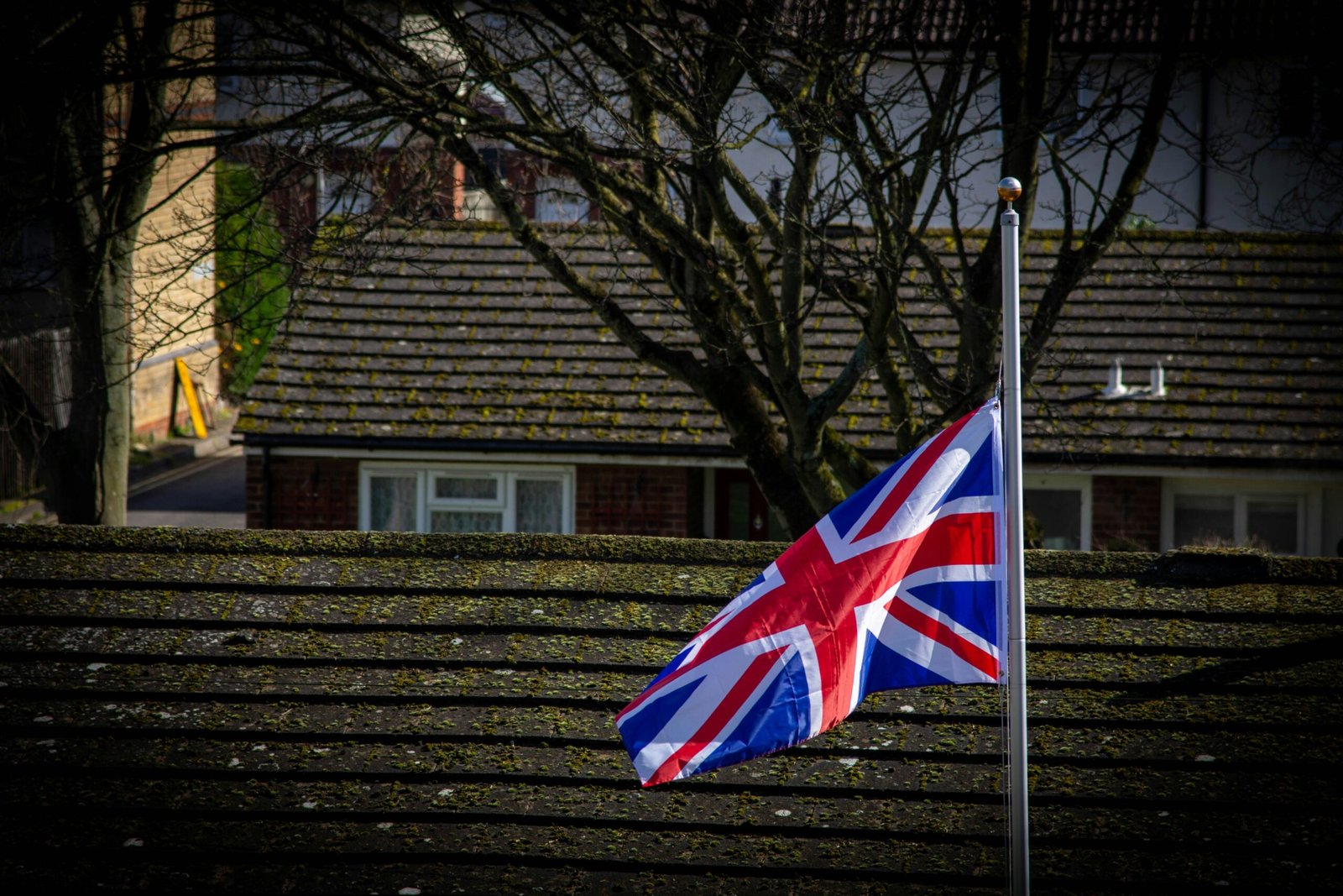 When an Indian Woman Burned the Union Jack in Japan