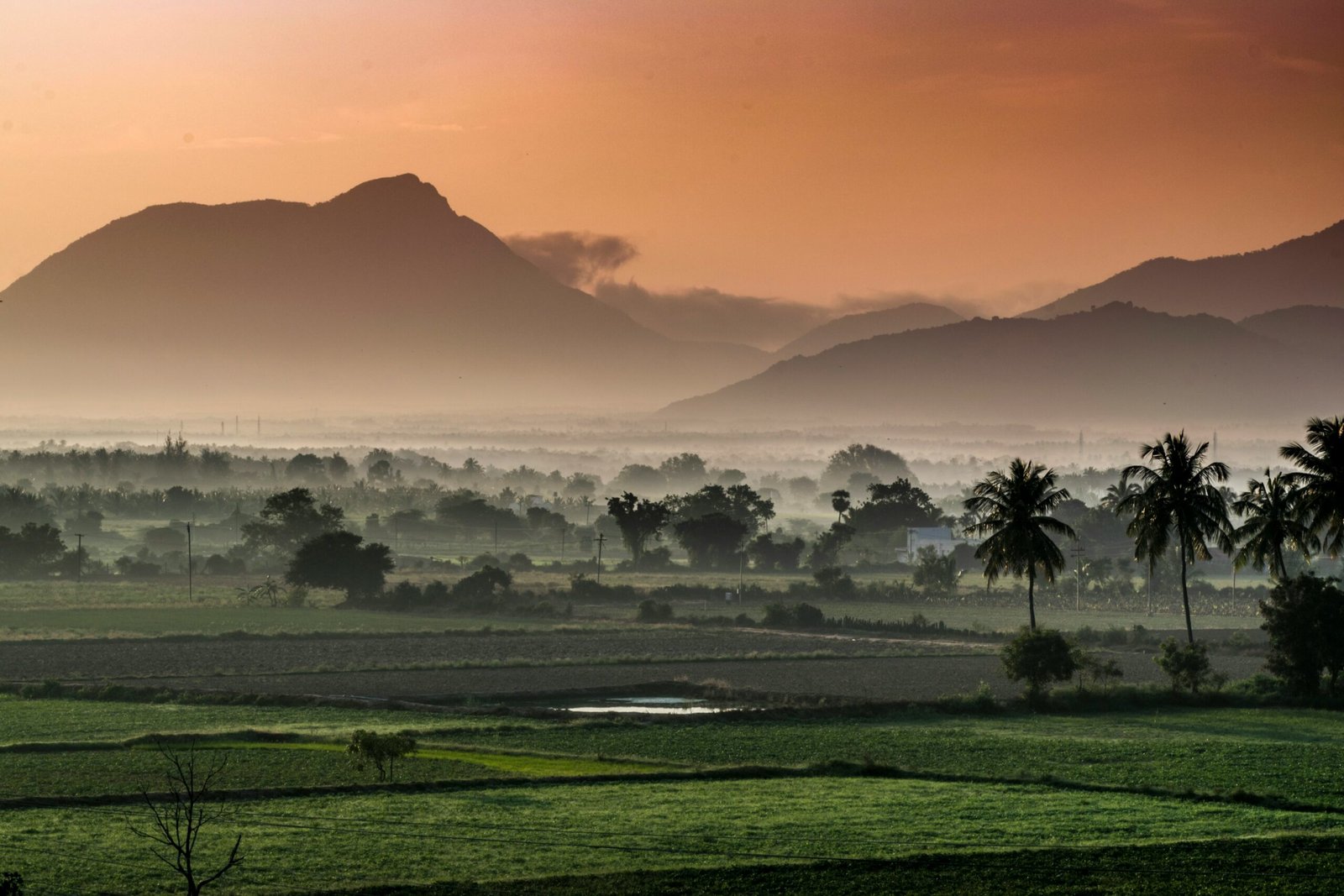 A wide rural Indian landscape at sunrise with mountains and farmland, symbolizing the breadth of India and how cybercrime now reaches every corner of the country.