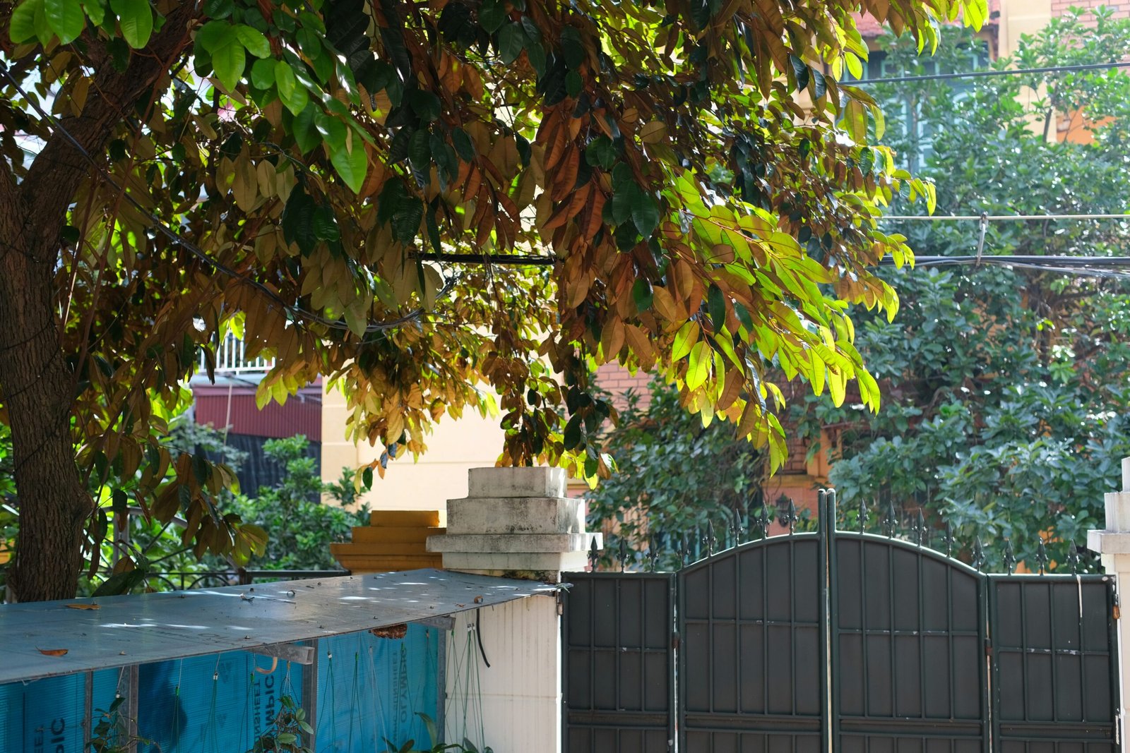 Gated compound surrounded by trees representing hidden scam operations and cybercrime hubs